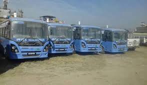 Mayur company