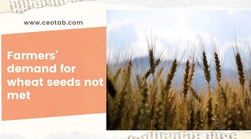 The Agriculture Inputs Company Limited Provincial Office in Hetauda has failed to meet the demand of the farmers for wheat seeds. The office