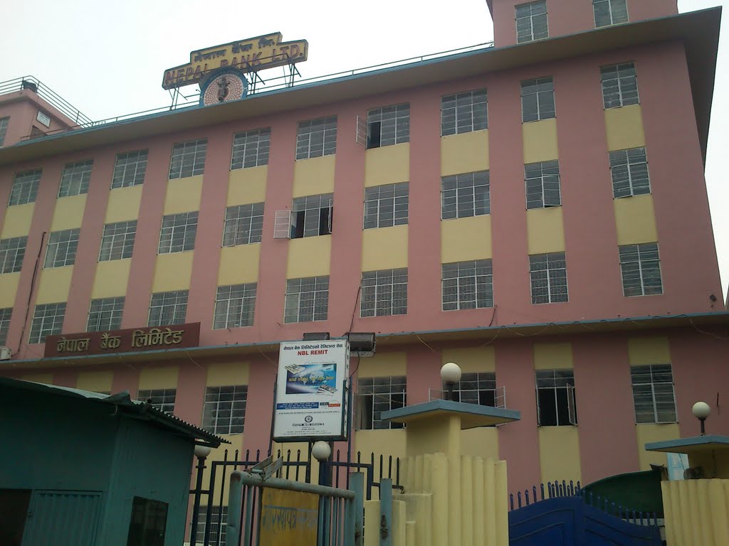 NBL registers net profit of 13.3% in third quarter of the fiscal