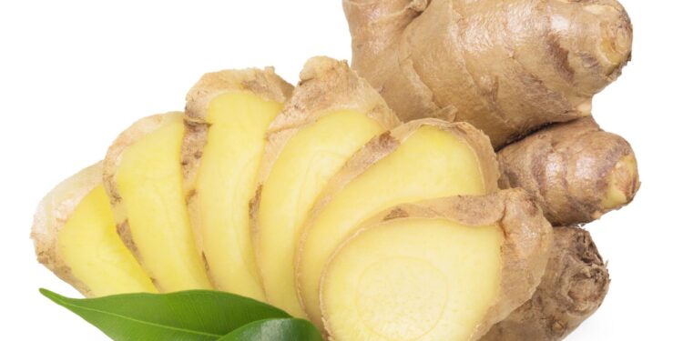 Farmers in Ilam give up cultivating ginger following disease in crops