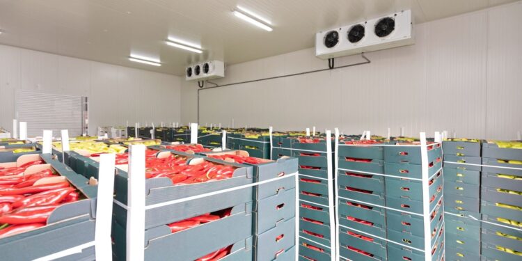 Parliamentary committee directs govt to provide electricity tariff subsidies to cold storage facilities