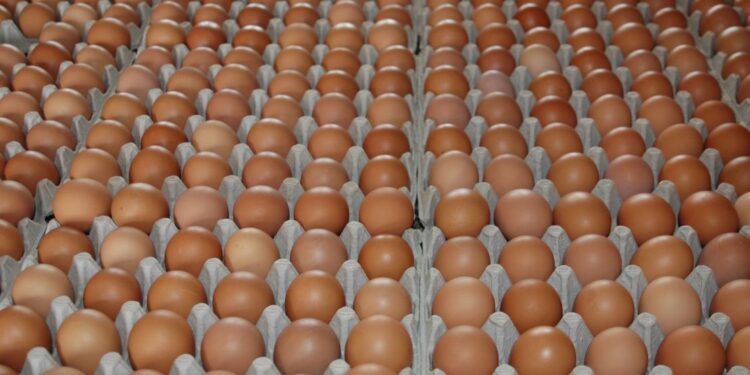 Egg prices hiked again within five days