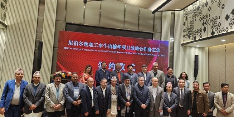 Nepal and China Sign MoU for USD 1.5 Billion Annual Export of Processed Buffalo Meat
