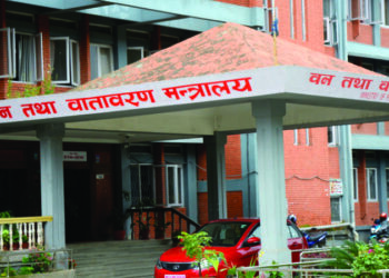 Gandaki Provincial Government Collects Rs 1.135 Billion from Forest Produce and Medicinal Herbs in Seven Years
