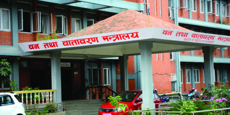 Gandaki Provincial Government Collects Rs 1.135 Billion from Forest Produce and Medicinal Herbs in Seven Years