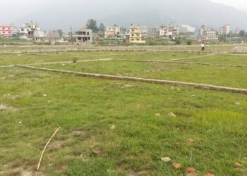Real Estate Transactions in Nepal Plummet Further After Gen Z Movement