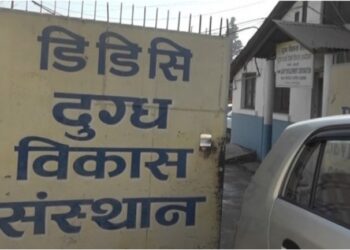 DDC Pays Rs 120 Million to Dairy Farmers Amid Efforts to Clear Outstanding Dues