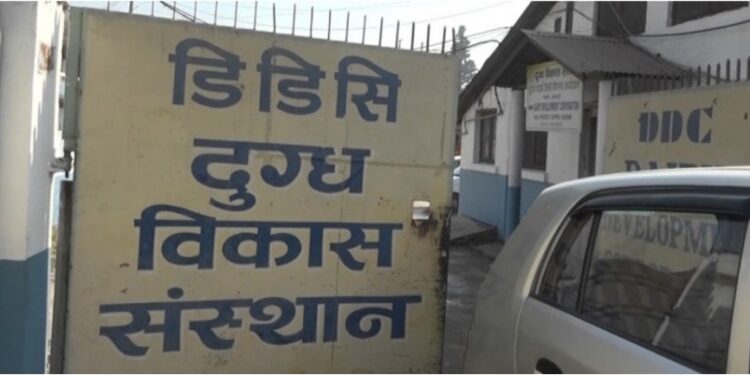DDC Pays Rs 120 Million to Dairy Farmers Amid Efforts to Clear Outstanding Dues