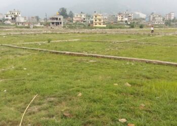 Land Transactions Hit Record High Ahead of Capital Gains Tax Increase