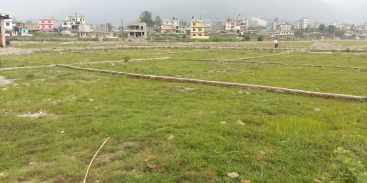 Land Transactions Hit Record High Ahead of Capital Gains Tax Increase