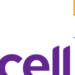 Ncell Urges Government to Resolve Ownership Dispute Ahead of 2029 License Expiry