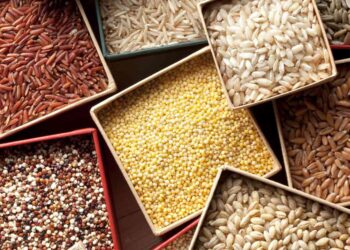 Government Assures Adequate Food Supplies Despite Floods and Road Blockages