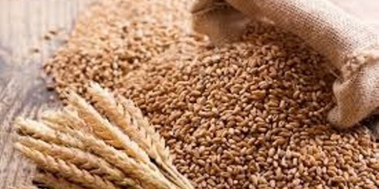 Nepal Imports Paddy and Rice Worth Rs 5.61 Billion in Two Months