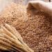 Nepal Imports Paddy and Rice Worth Rs 5.61 Billion in Two Months